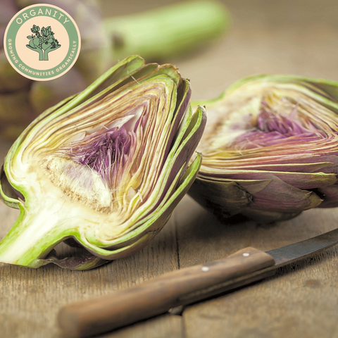 Artichoke - Globe