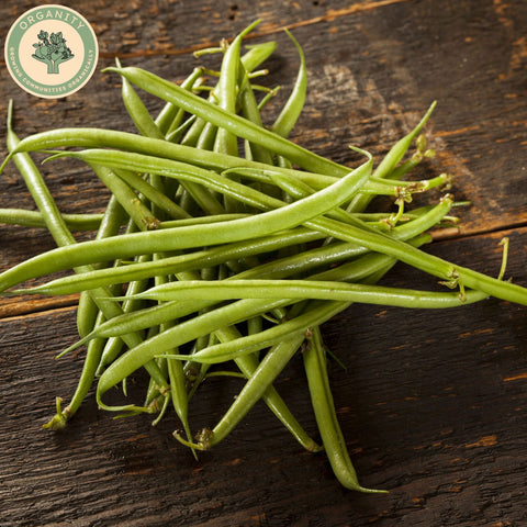 Beans - French