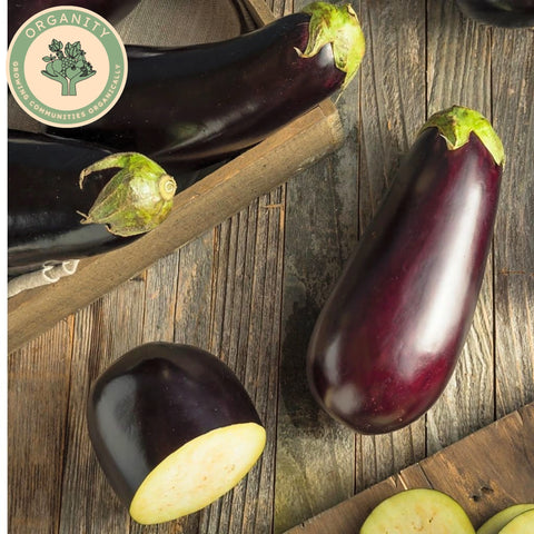 Aubergine