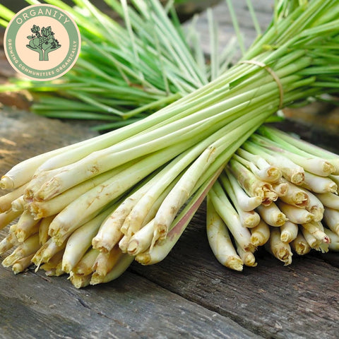 Lemongrass