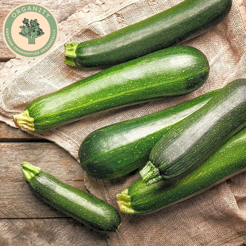 Courgettes