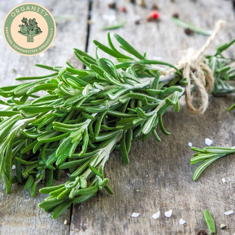 Rosemary