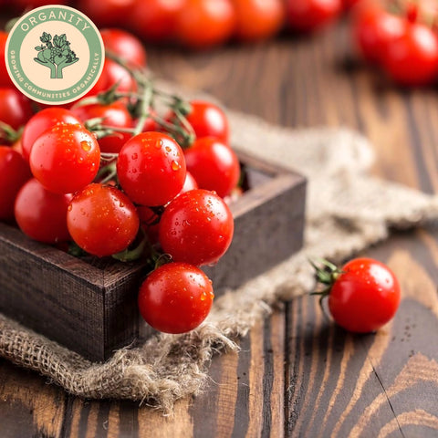 Tomatoes - Cherry Vine