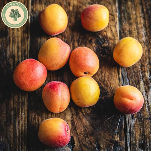 Apricots