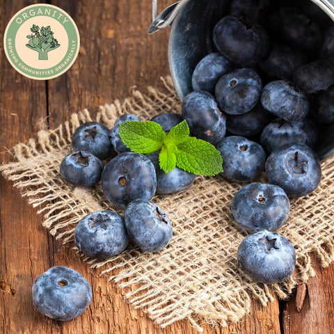 Blueberries