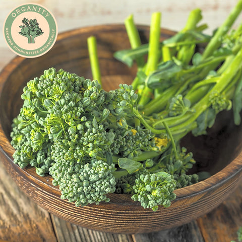 Broccoli - Tenderstem