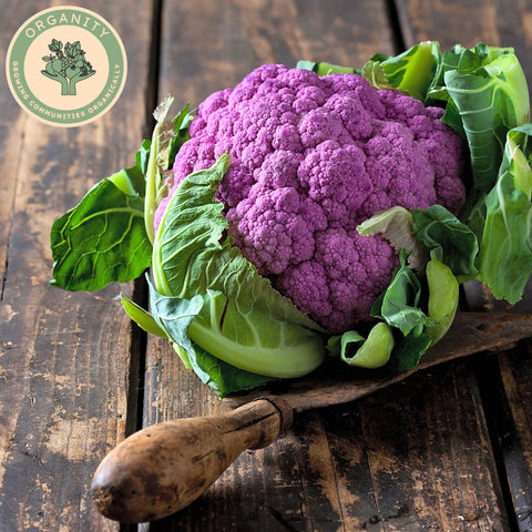 Cauliflower - Purple