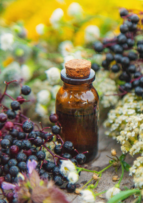 Elderberry Syrup