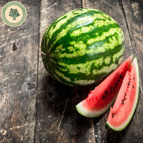 Watermelon - Mini