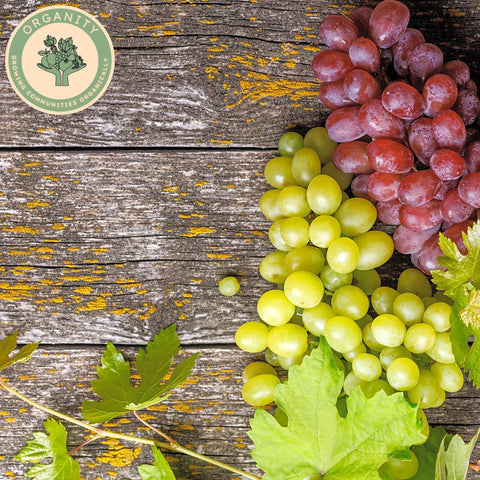 Grapes