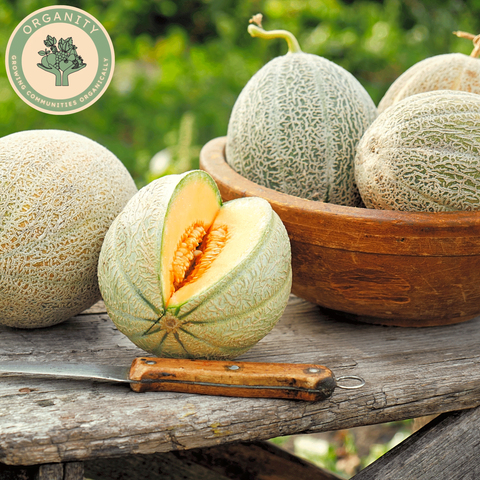 Melons with one sliced open on a wooden surface, surrounded by greenery, featuring the Organity logo.