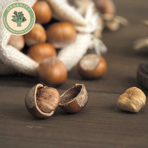 Nuts - Hazelnuts