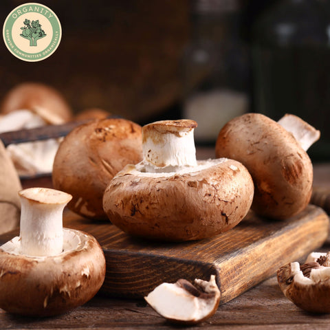 Mushrooms - Chestnut