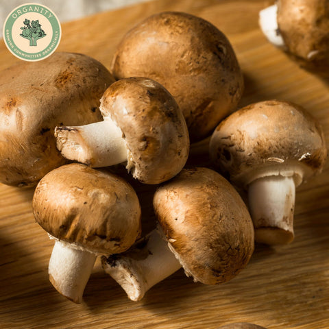 Mushrooms - Chestnut