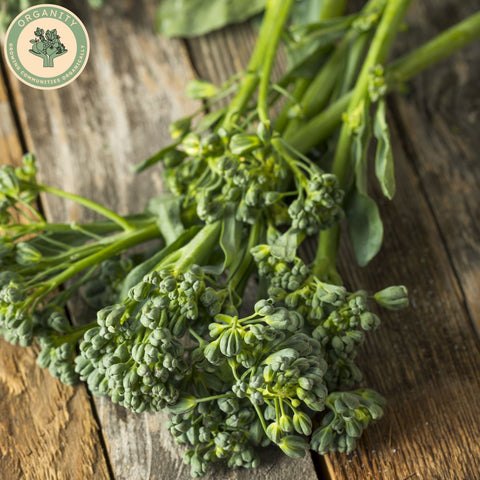 Broccoli - Tenderstem