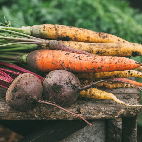 Root Veg