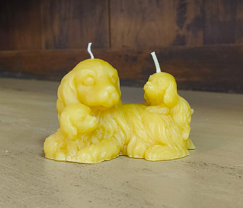 Beeswax Candle Selection - By Alex