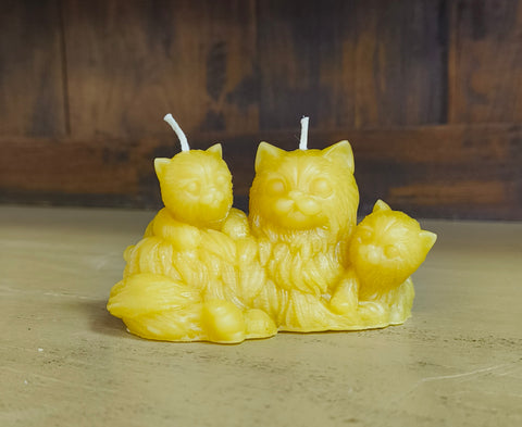 Beeswax Candle Selection - By Alex