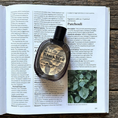 Blackbird, Eau de Parfum - the Dark Island Soap Co