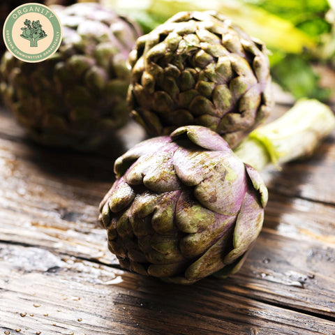 Artichoke - Globe
