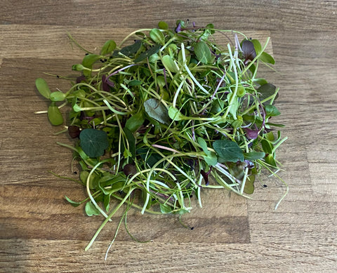 Microgreen Selection