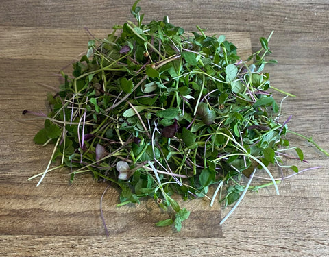 Microgreen Selection