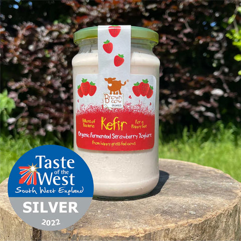 Yoghurt - Strawberry Fermented Kefir