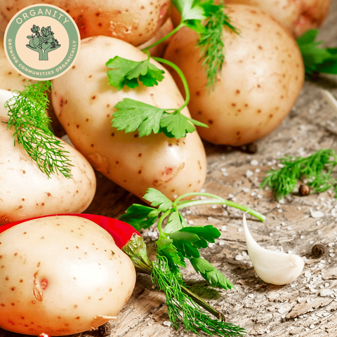 Potatoes - Baking
