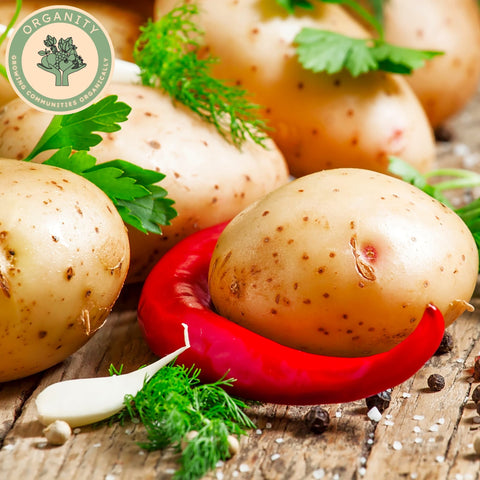 Potatoes - Colleen