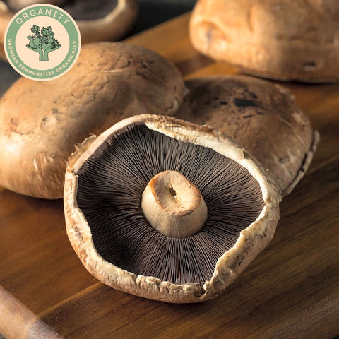 Mushrooms - Portobello