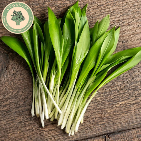 Garlic - Wild