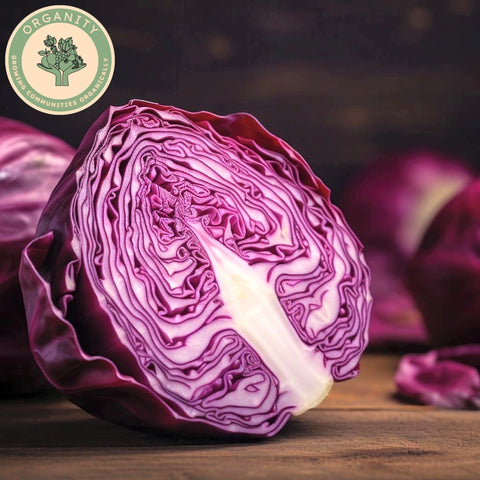 Cabbage - Red
