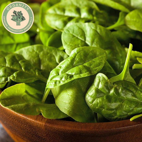 Spinach Baby