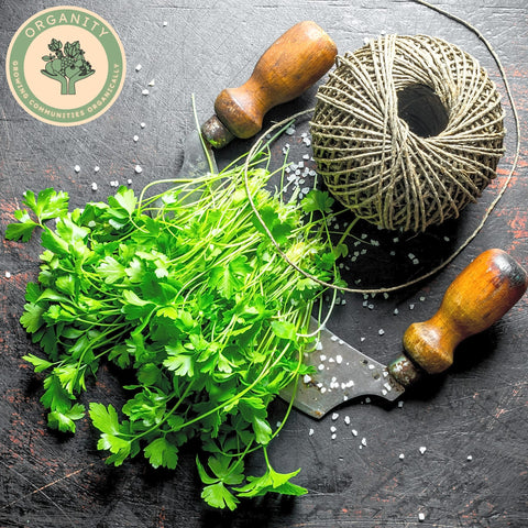 Parsley