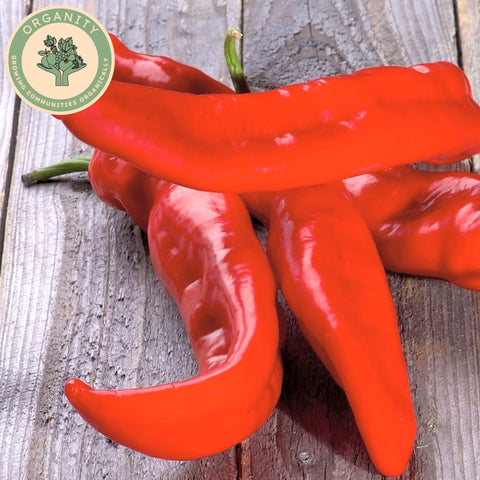 Peppers Red Ramiro