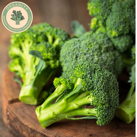 Broccoli