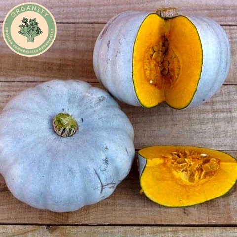 Squash - Crown Prince