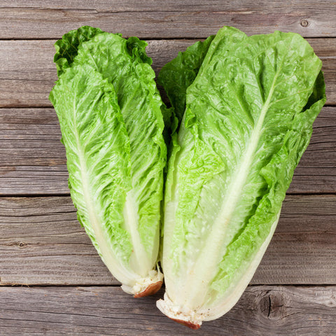Lettuce - Cos