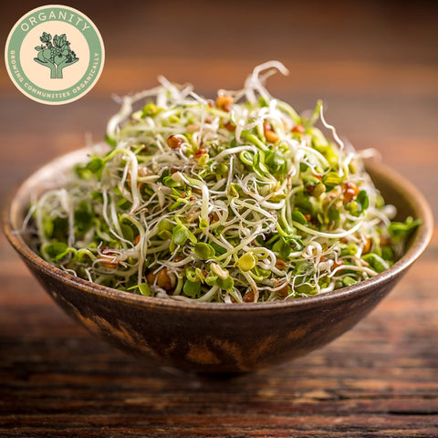 Alfalfa & Radish Sprouts