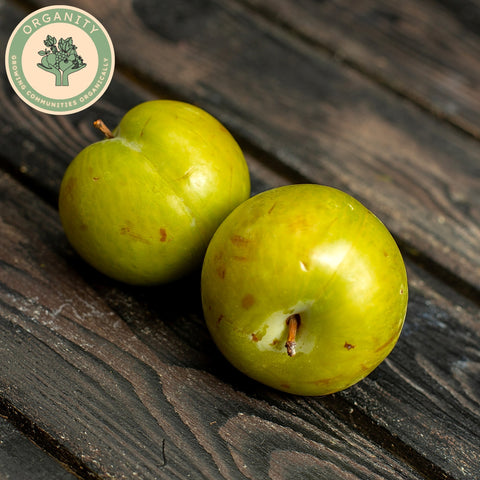 Apples - Bramley