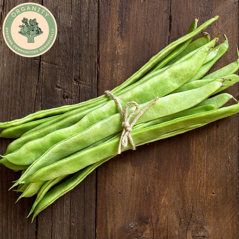 Beans - Flat
