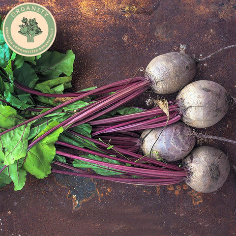 Beetroot - Bunched