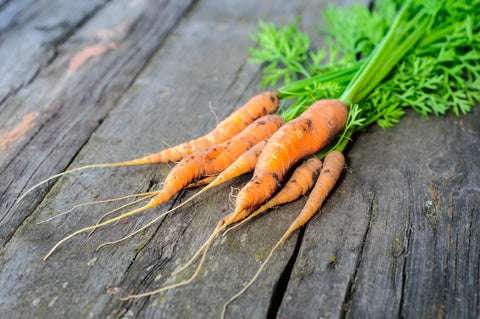 Carrots - Bunched