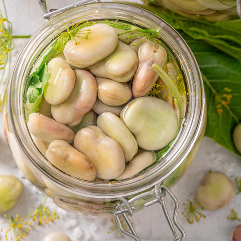 Beans - Butter Dried