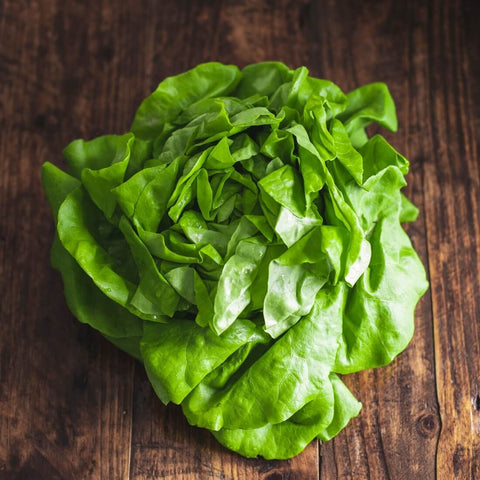 Lettuce - Butterhead
