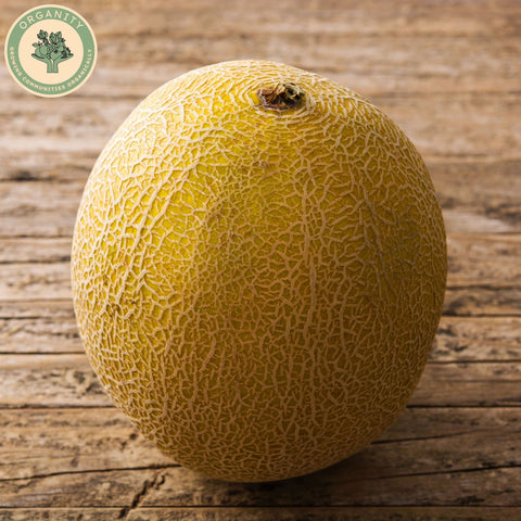 Melon - Galia
