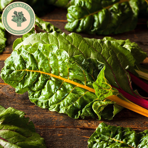 Chard - Rainbow