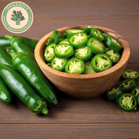 Chilli Jalapeno
