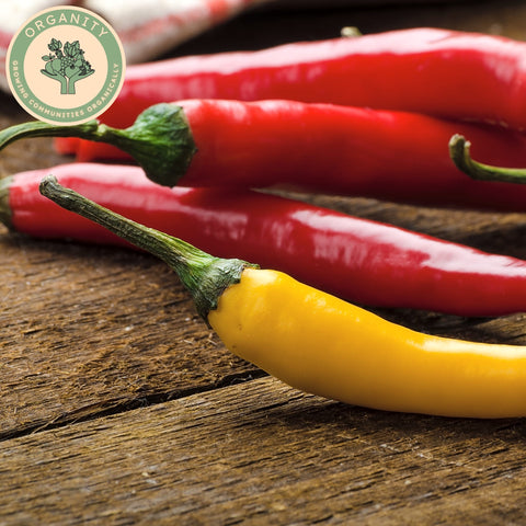 Chilli - Mixed