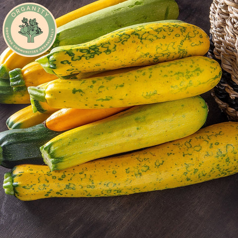 Courgette Yellow